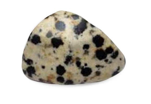 dalmation_stone.jpg