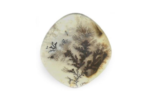 dendritic_agate.jpg