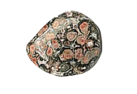 leopard_skin_jasper.jpg