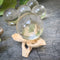 Quartz crystal ball on entwined stand