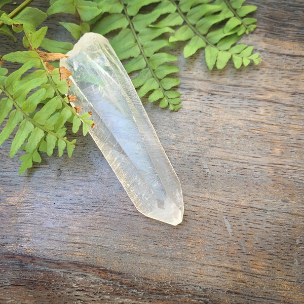 Lemurian Seed Quartz crystal in clear quartz