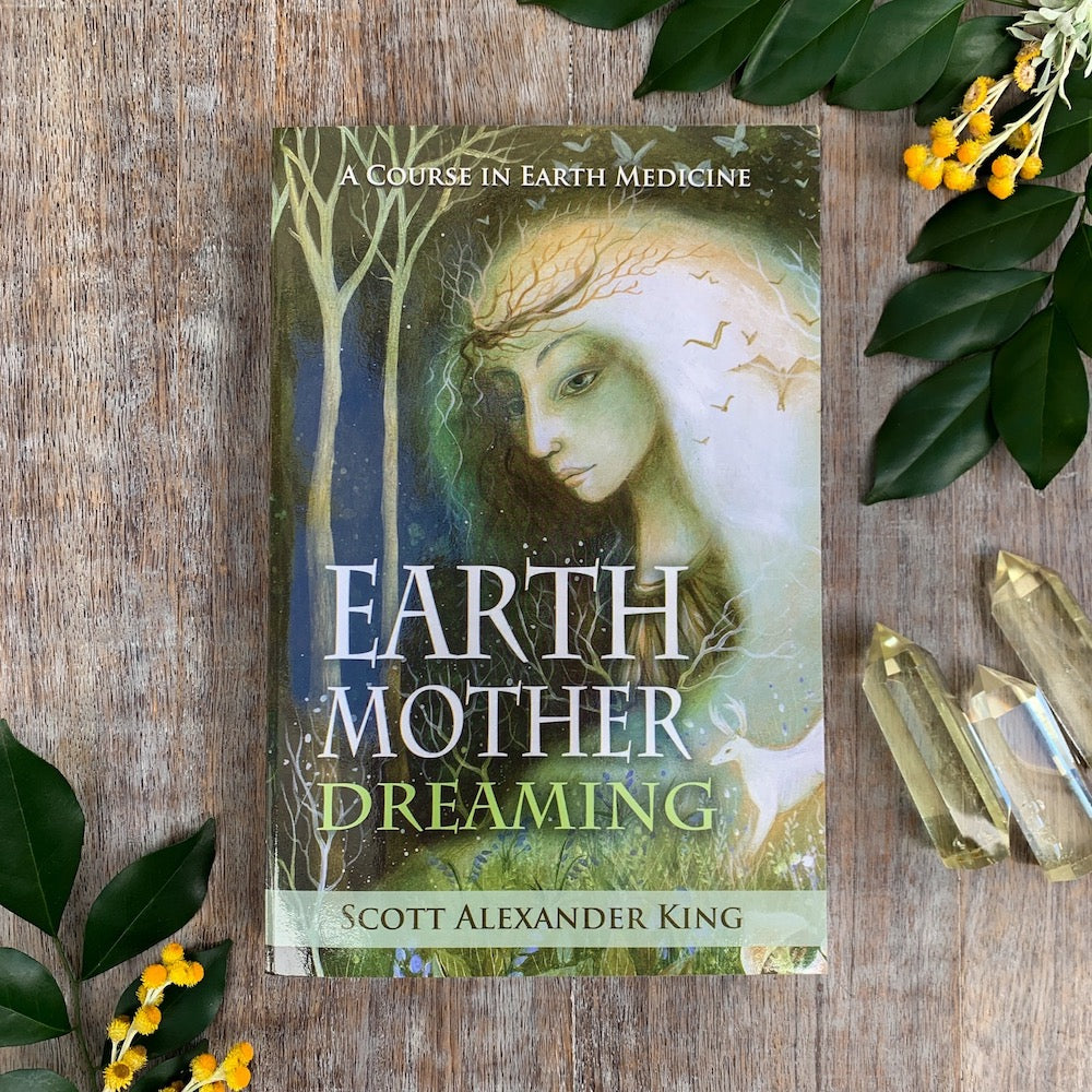 Earth Mother Dreaming Book by Scott Alexander King