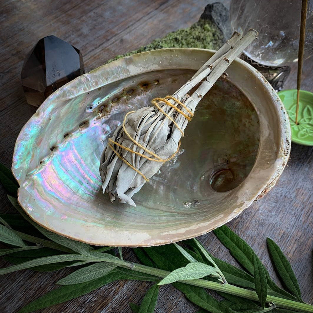 Shell smudging bowl with white sage bundle
